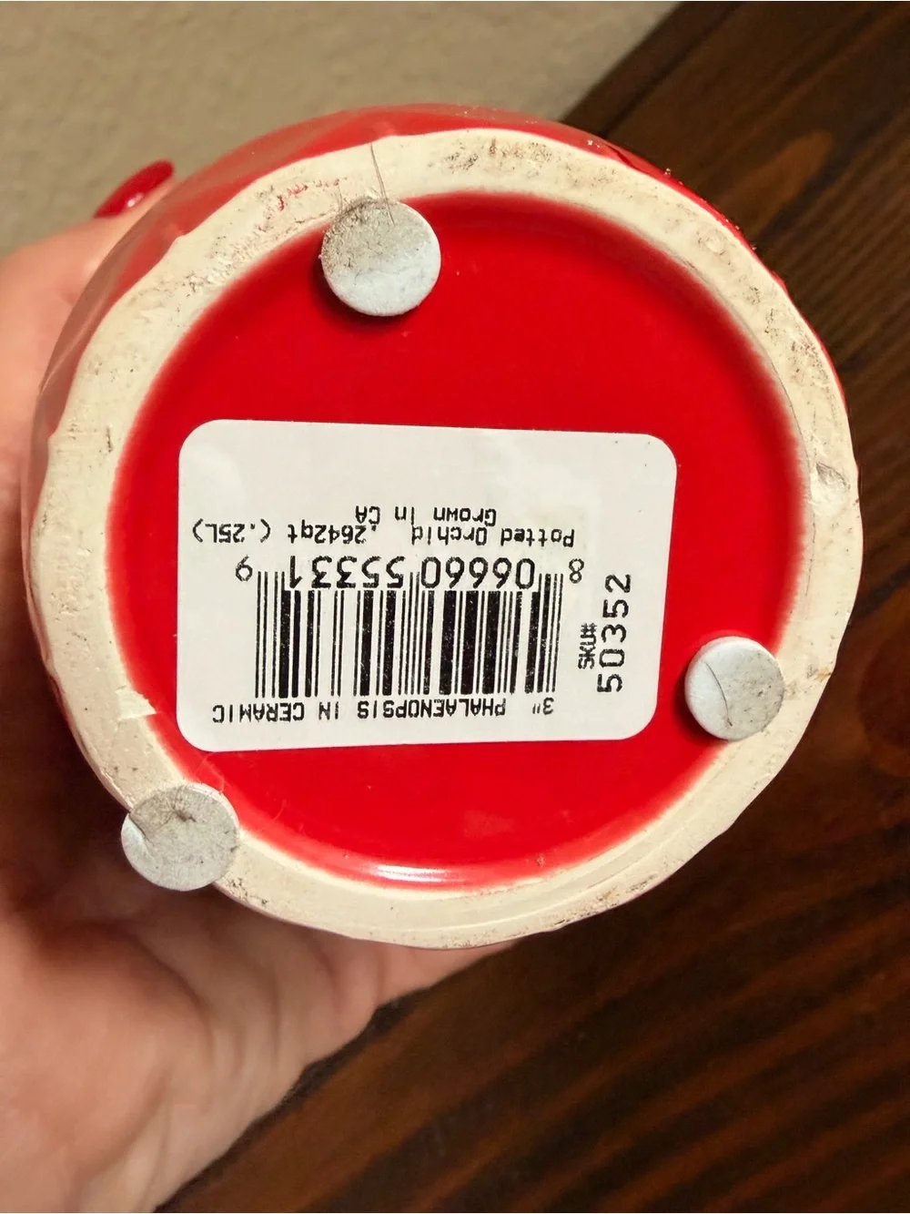 Red Ceramic Succulent Planter